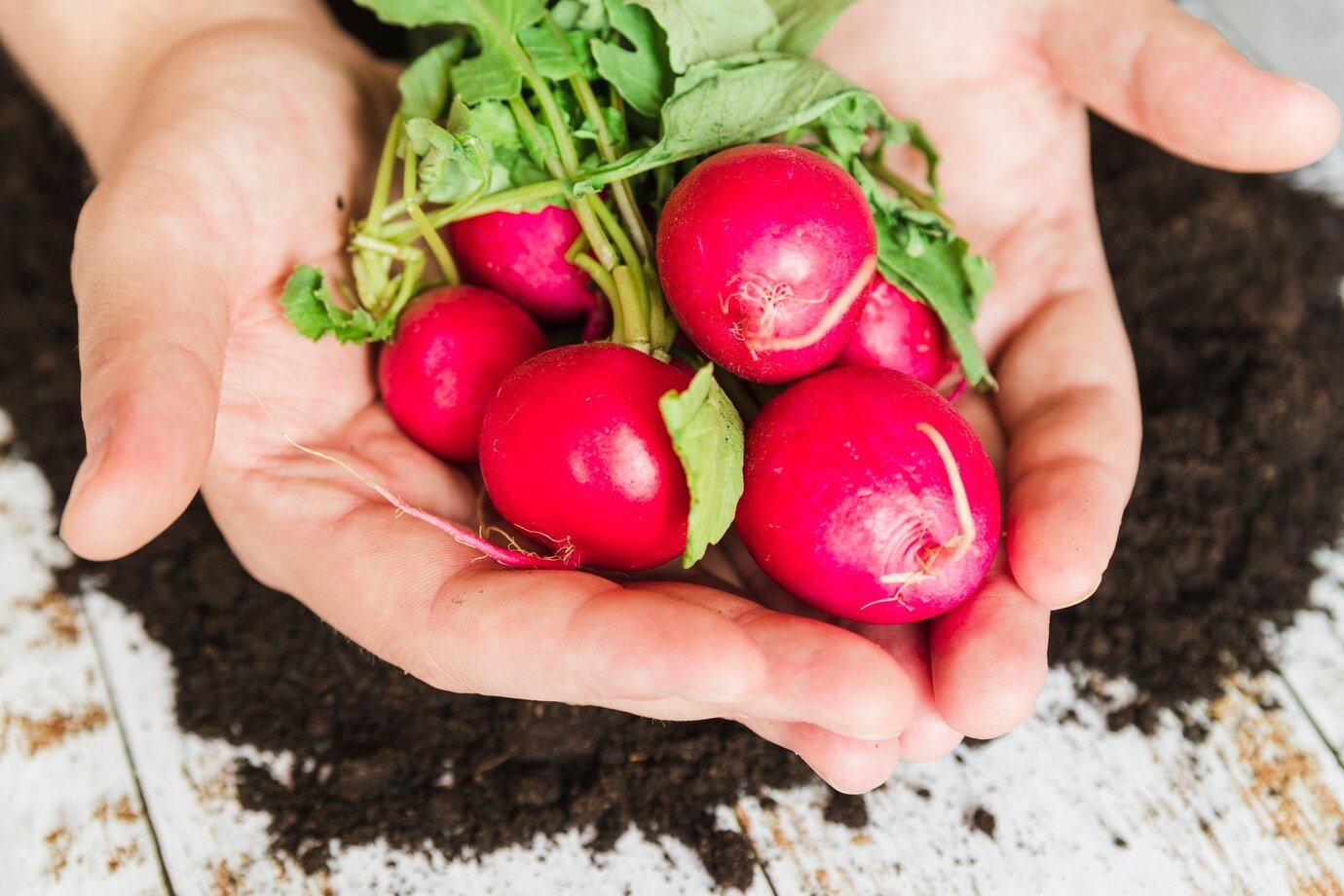 The TOP 17 Healthiest Root Vegetables